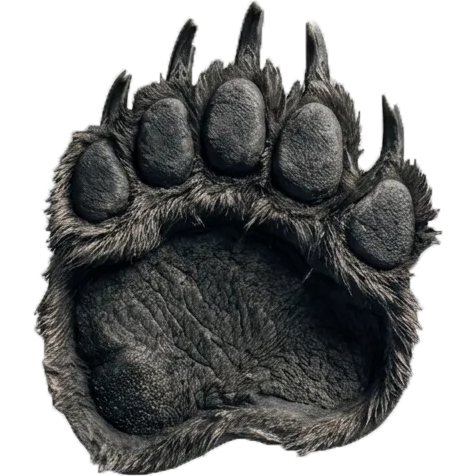 grizzly-knife.ru grizzly-knife.ru